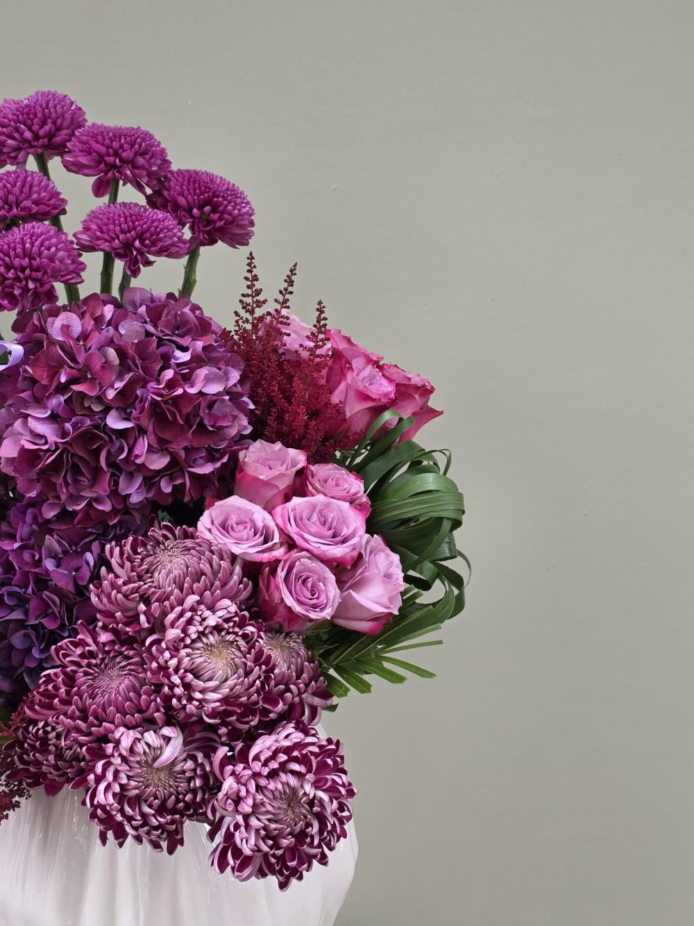Momoko Hydrangea